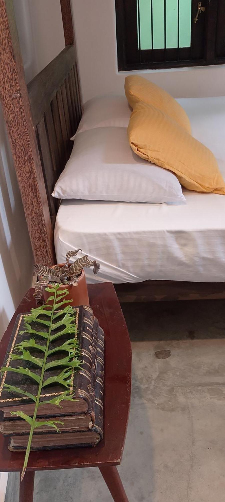 Riverston Nature Villa Rattota Εξωτερικό φωτογραφία